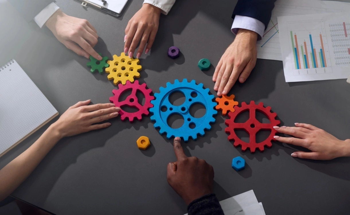 Программа обучения